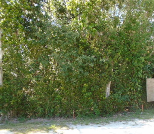 Media Image 3