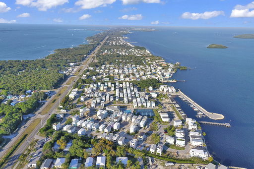 Media Image 2