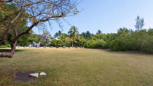 Media Image 3
