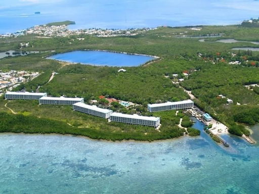 Media Image 3