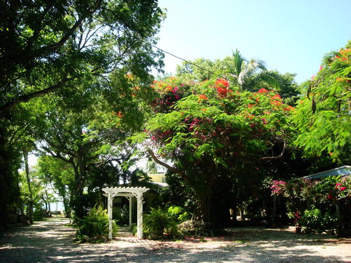 Media Image 3