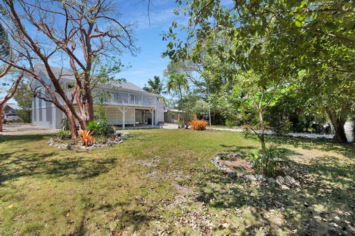 Media Image 3