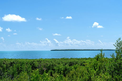 Media Image 2