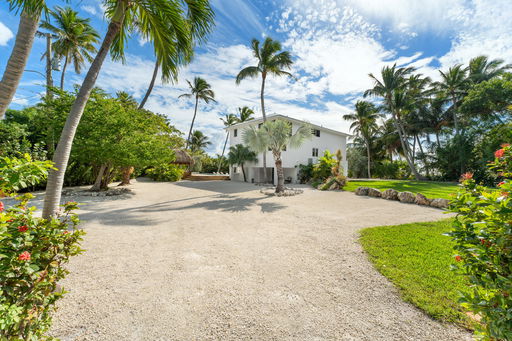Media Image 3