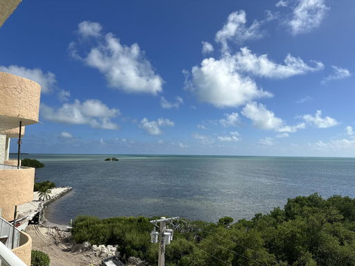 Media Image 2