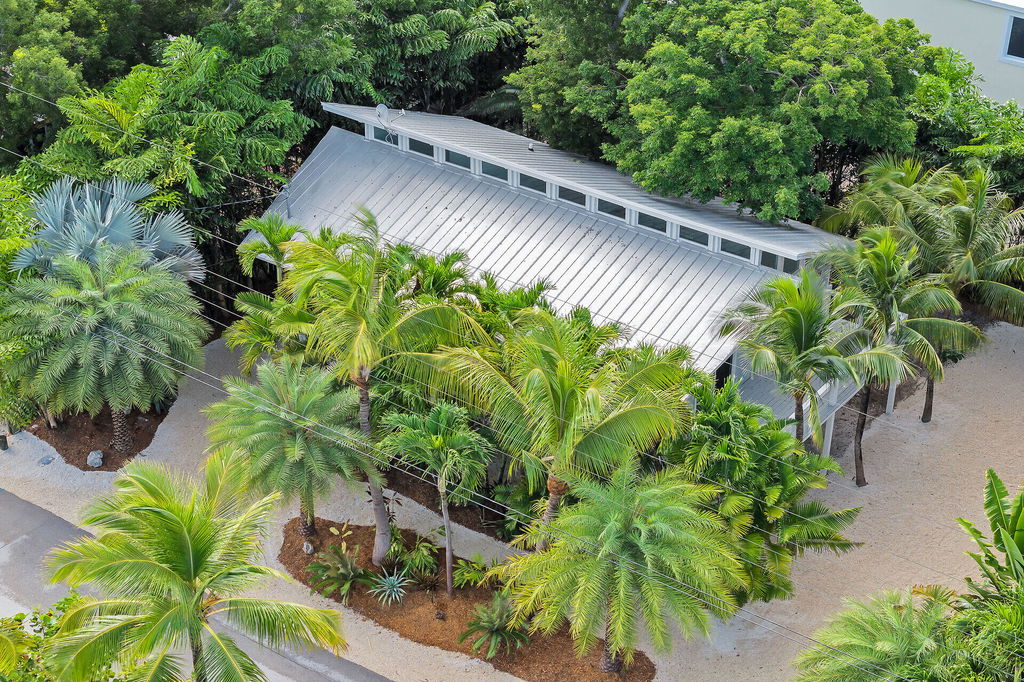 Media Image 1