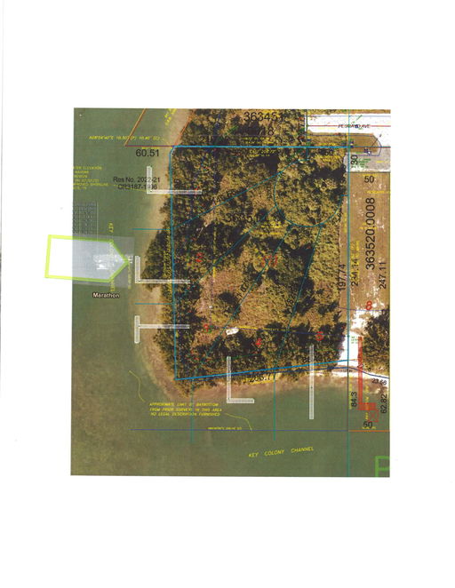 Media Image 2