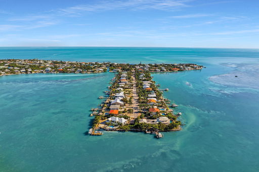 Media Image 3