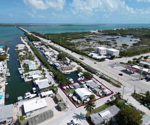 Media Image 3