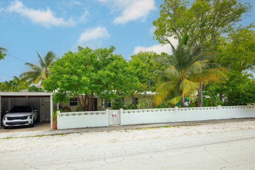 Media Image 3