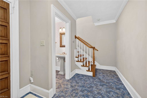 Media Image 3