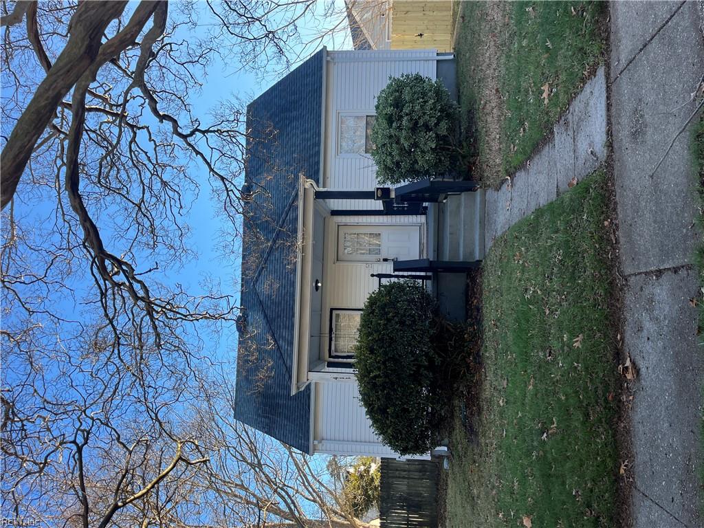 Media Image 1