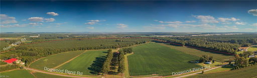 Media Image 2