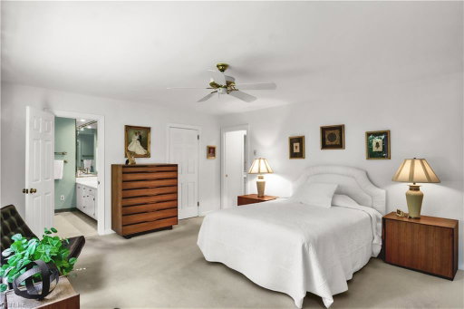 Media Image 3