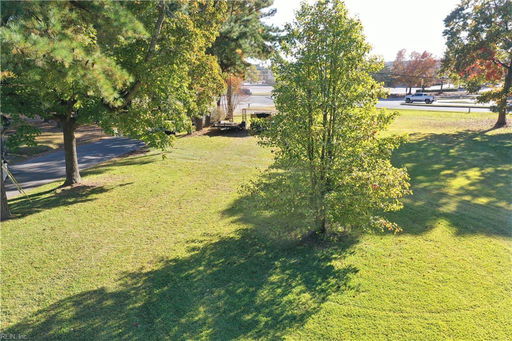 Media Image 3