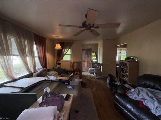 Media Image 3
