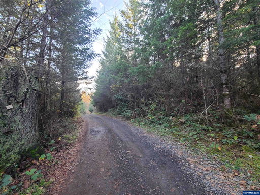 Media Image 3