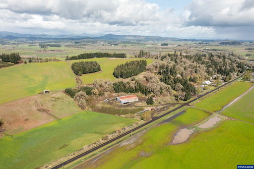 Media Image 2