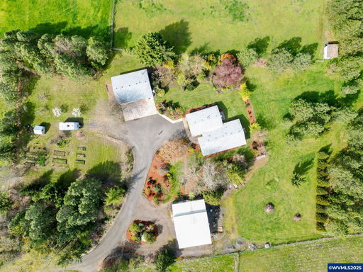 Media Image 2