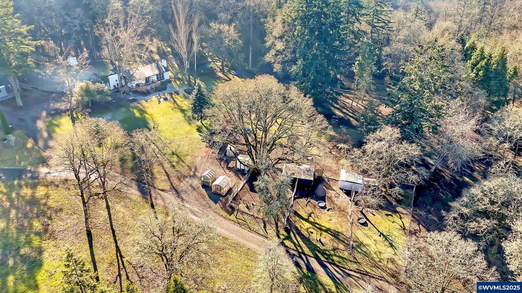 Media Image 1