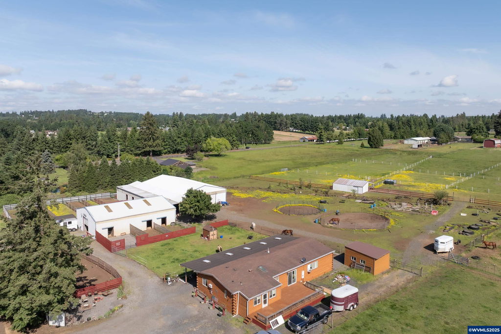 Media Image 1