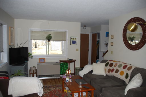 Media Image 3