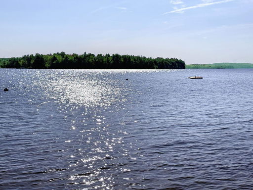 Media Image 2