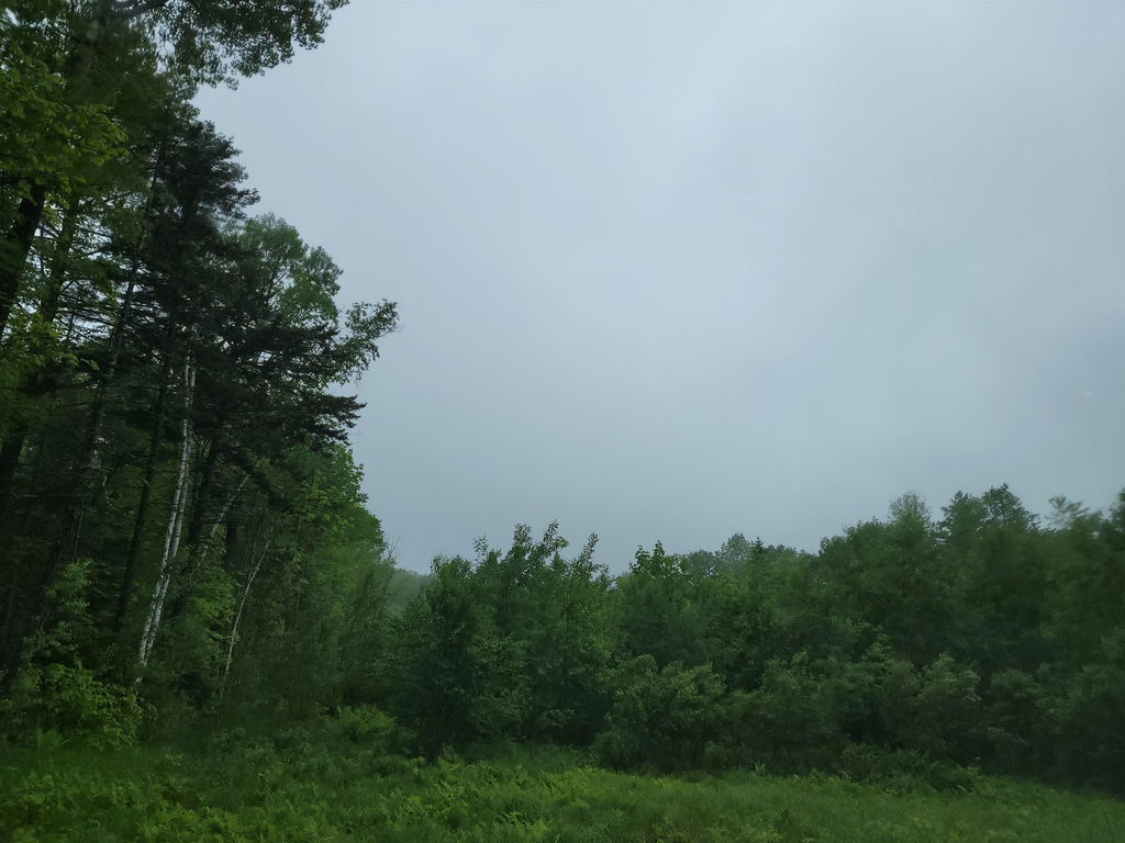 Image Unavailable