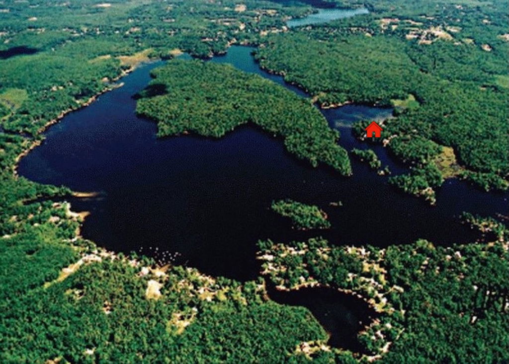 Media Image 1