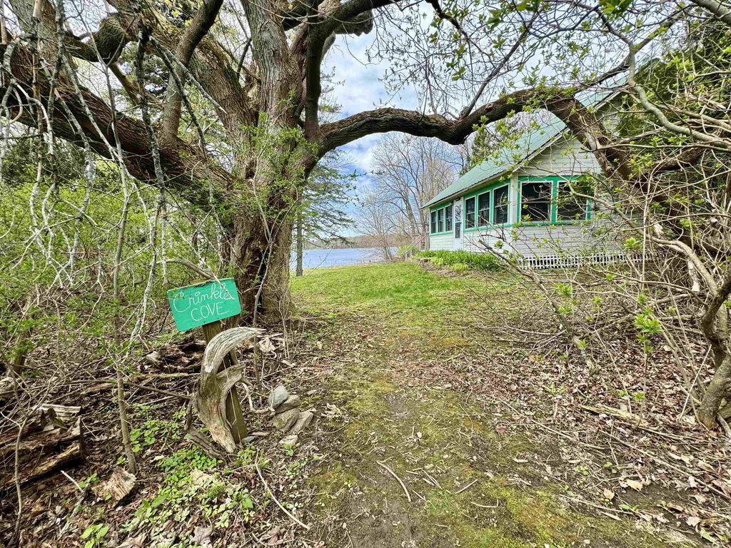 Media Image 1