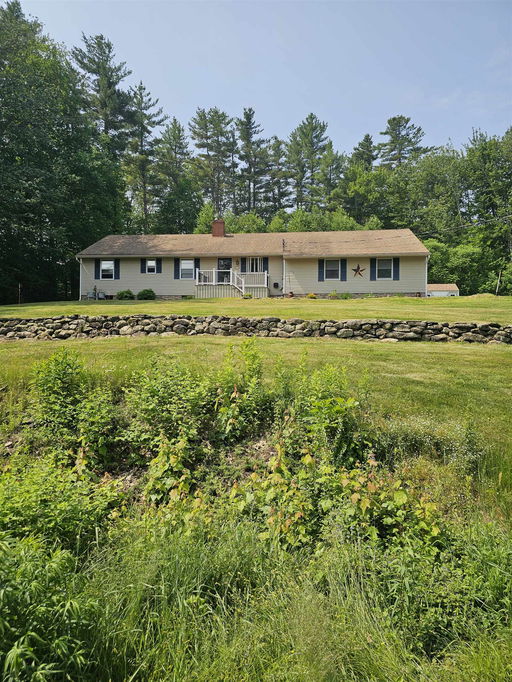 Media Image 3