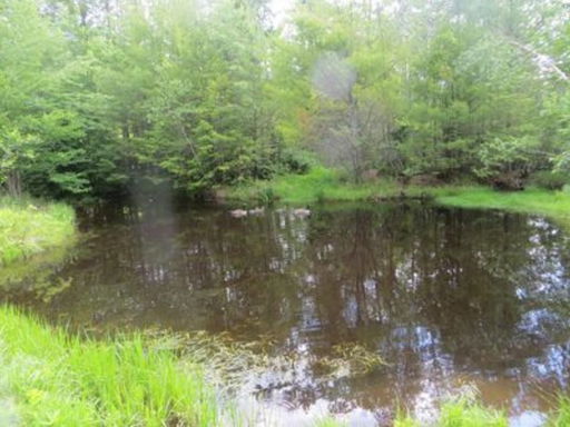 Media Image 3