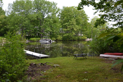 Media Image 3