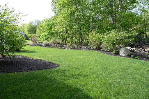 Media Image 2