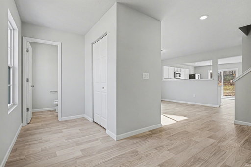 Media Image 2