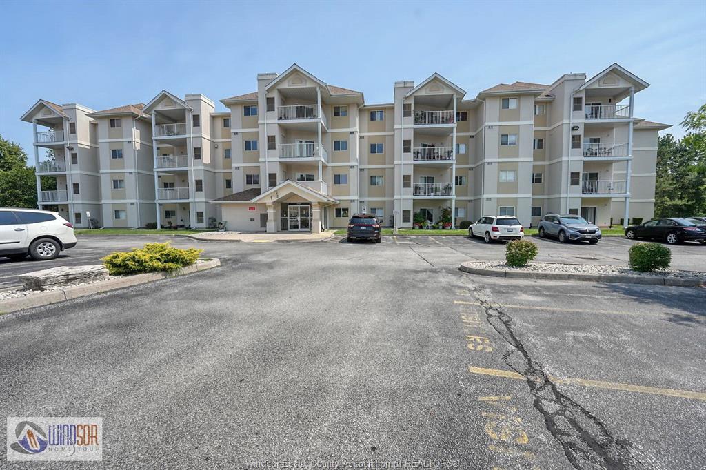 Media Image 1
