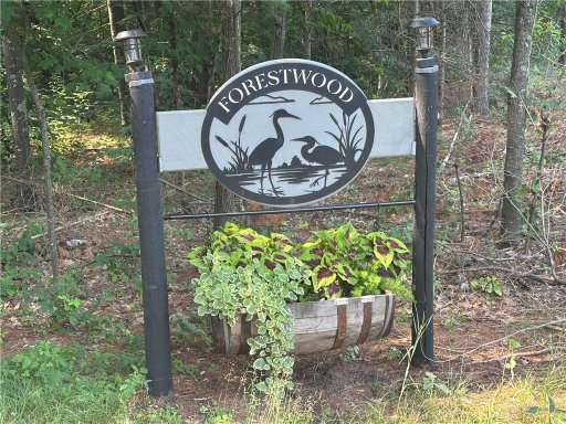 Media Image 2