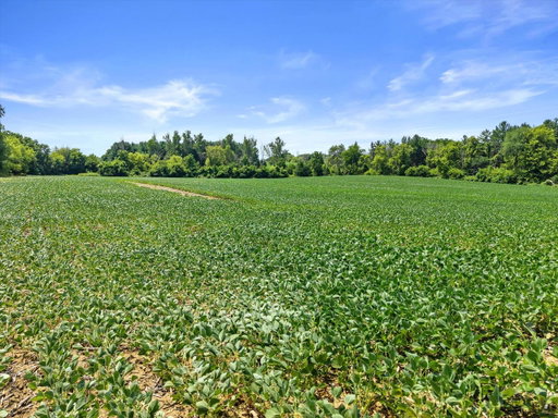 Media Image 3