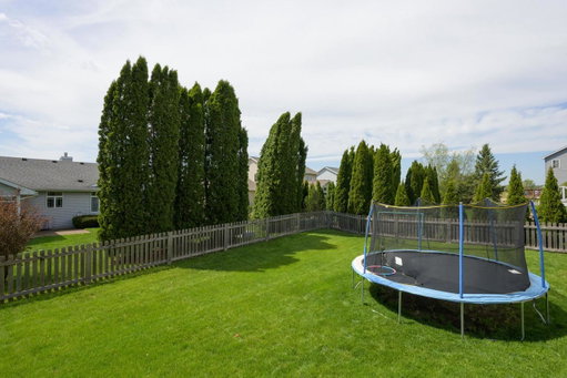 Media Image 3
