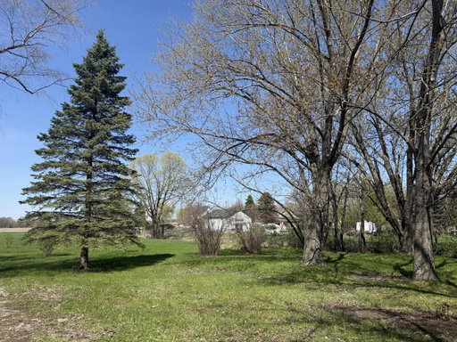 Media Image 3