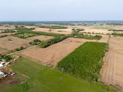 Media Image 3